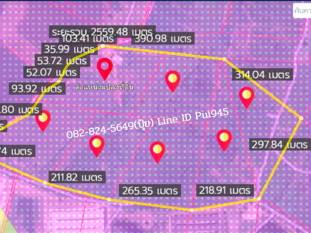 SaleLand Land for sale ME250, EEC plan, purple pattern, large plot, Nong Yai, Ban Bueng, Chonburi . 241 rai 2 ngan 56 sq. wa, only 2.8 Km.