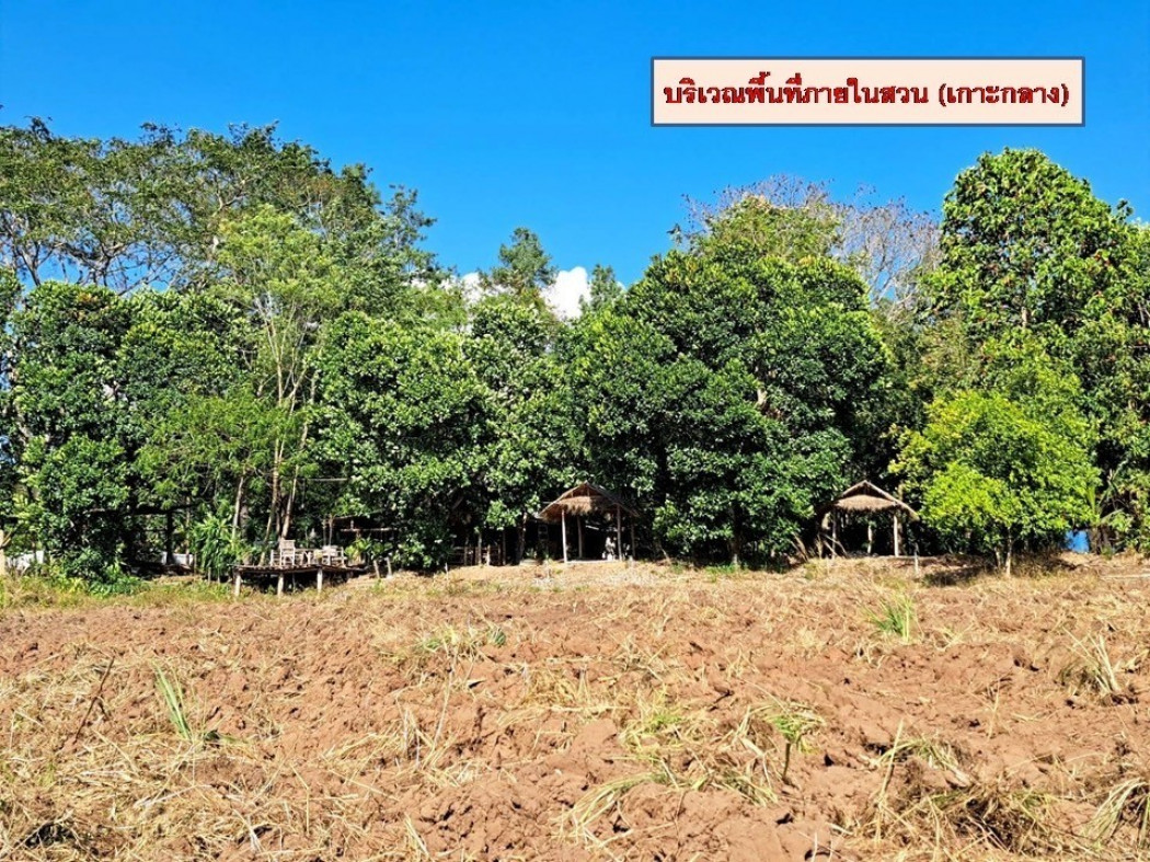 SaleLand Land for sale, Fang District Park, Chiang Mai Province ID-13703