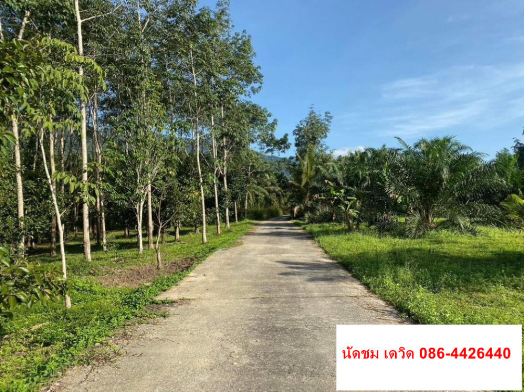 SaleLand Land for sale, Kraper District, Ranong Province ID-13699