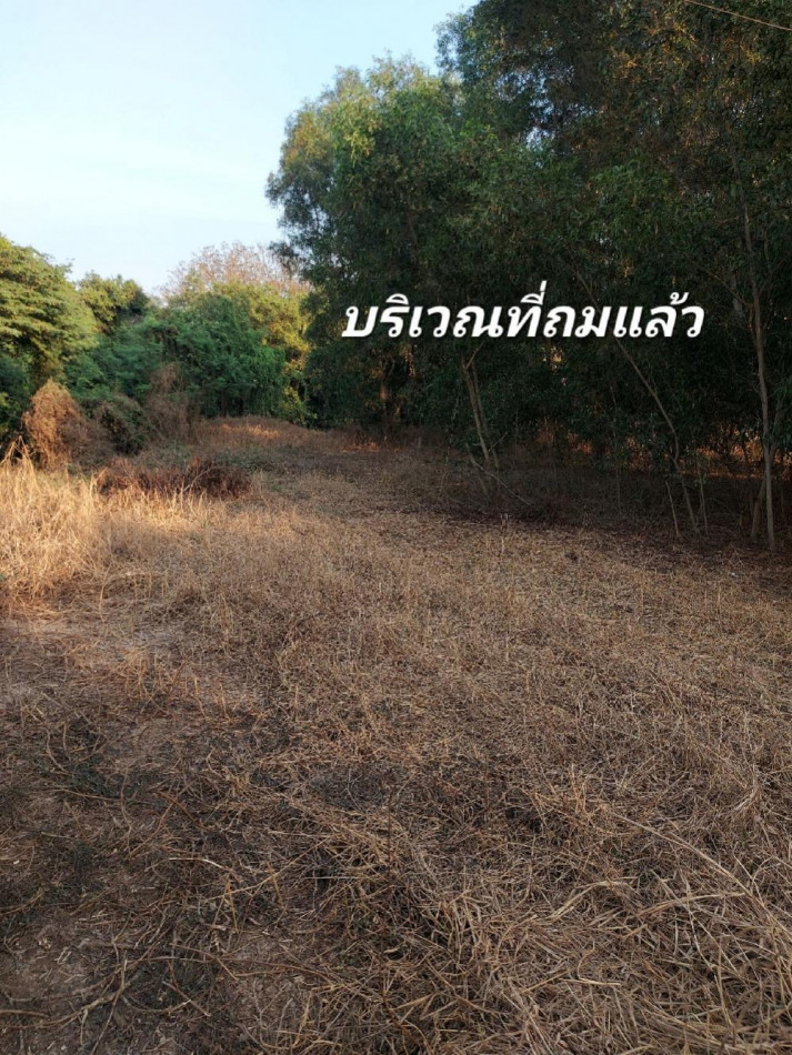 SaleLand Land for sale in Nakhon Chai Si, 2-1-27 rai, near Bangkok, beautiful plot, already filled in, ID-13821