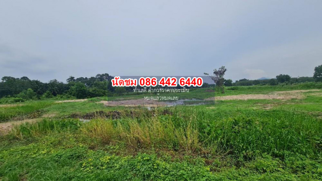 SaleLand Land for sale next to 6 lane road, Ban Khai 3574, large community plot, area 18 rai ID-13823