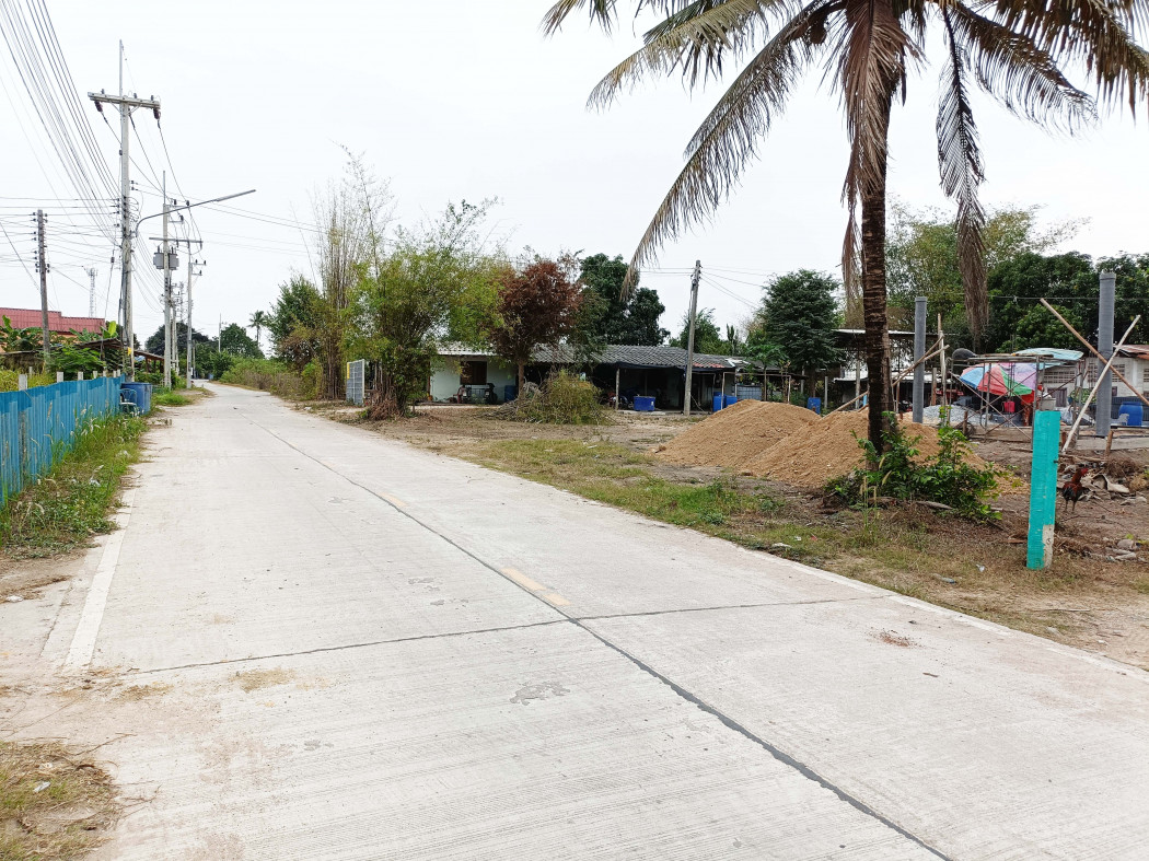 SaleLand Land for sale near the group factory area, Vanachai Group, community area, Ang Wian Temple,