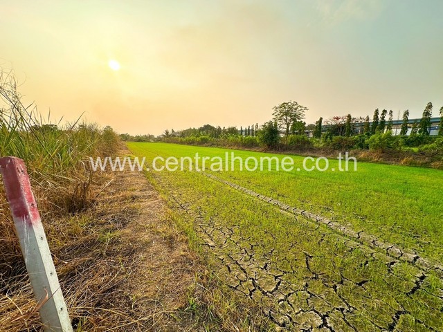 ขายที่ดิน ที่ดินเปล่า 3 งาน ใกล้พื้นที่สีม่วงถนน 340 ไทรน้อย-นนทบุรี