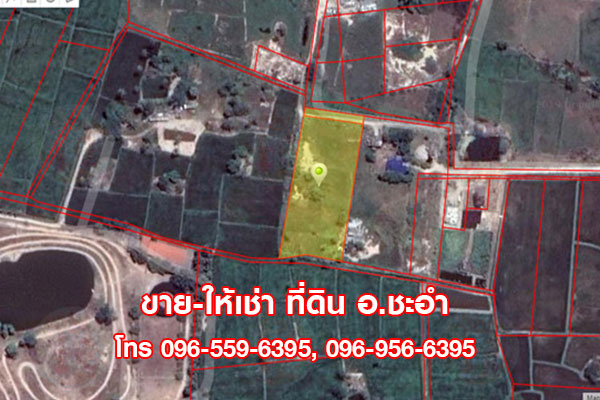Sale-RentLand Land for Sale in Petchaburi Thailand