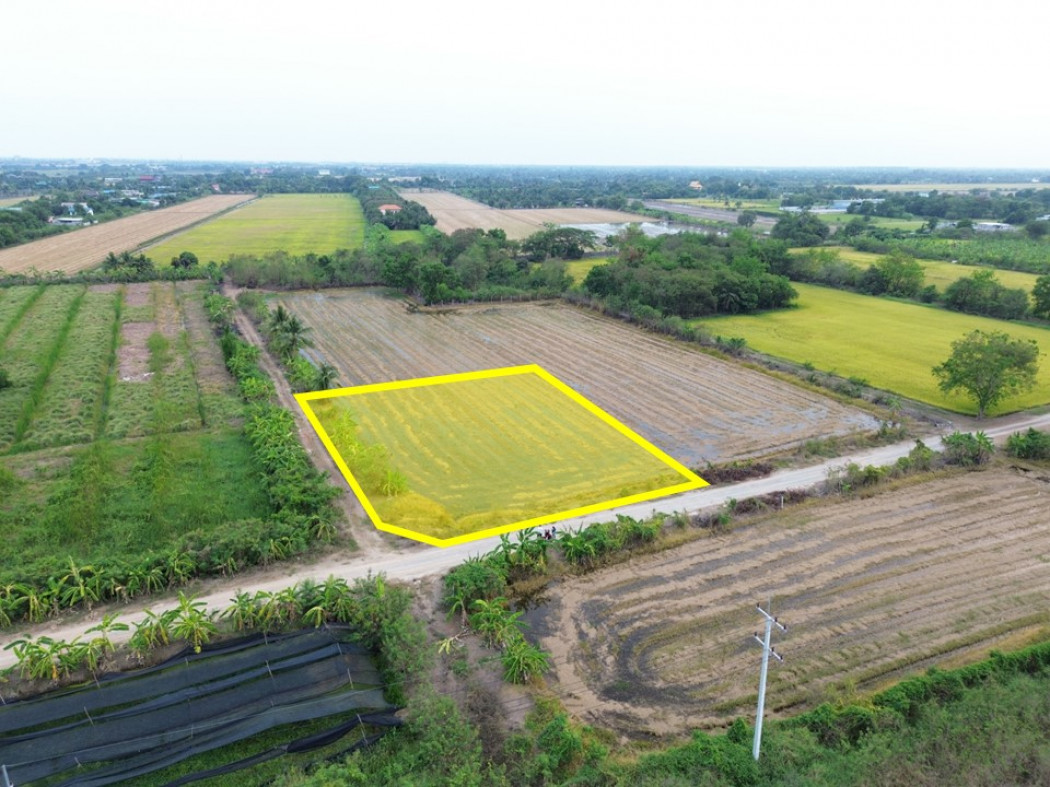 SaleLand Beautiful land for sale, Khlong Yong, Salaya, 399 sq m, for agriculture.