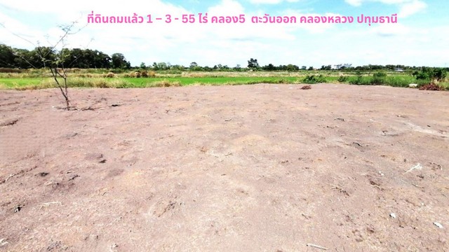 ขายที่ดิน ขายที่ดิน 1-3-55 ไร่ ติดถนนซอย คลอง5 คลองหลวง ปทุมธานี  