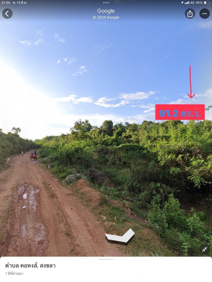 SaleLand ‼️ Land for sale, Ruamtham, Kho Hong, Hat Yai, 91.2 sqw ‼️