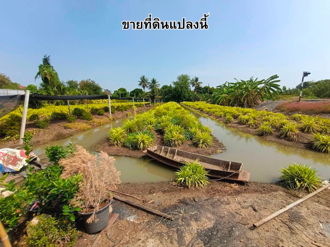 SaleLand Land for sale 3 rai 3 ngan 92 square wah, Soi Santitham 2, Bang Yai, Nonthaburi.