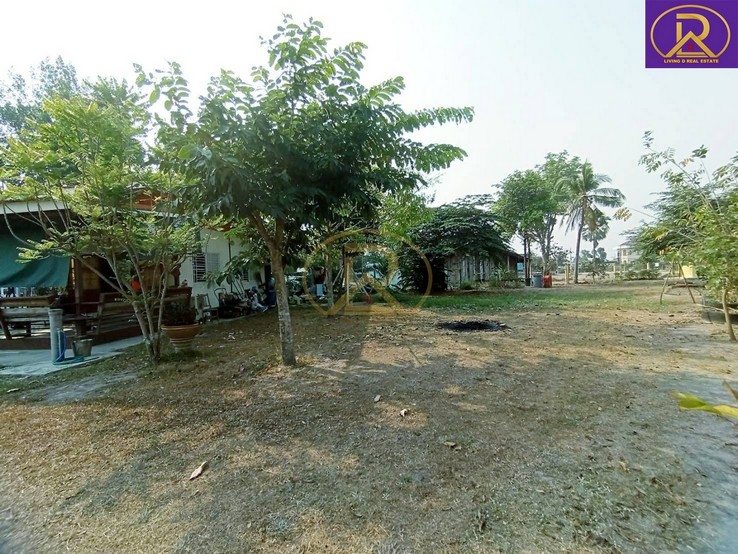 ขายที่ดิน ขายที่ดินทำบ้านสวน 1-2-33ไร่ ผลไม้ หลากหลายชนิด บ้านสวน เมืองชลบุ