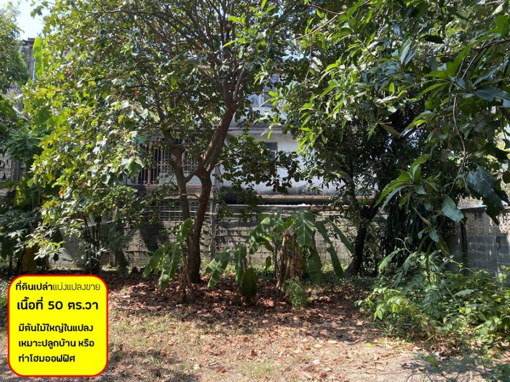 SaleLand Land for sale, Soi Lat Phrao 109, Intersection 3, area 50 sq m.