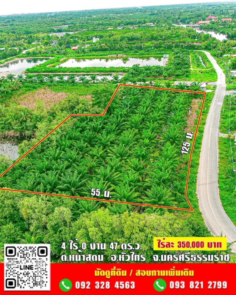 SaleLand Land for sale 4 rai 0 ngan 47 sq m. ✅NS.3ก Green Garuda, selling for 350,000 baht per rai, negotiable, location, near Ko Phet Subdistrict Municipality Office, 4 rai 0 ngan 47 sq m.