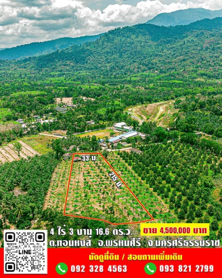 SaleLand Land for sale, Monthong durian orchard with 1 house, 4 rai 3 ngan 16.6 sq m. ✅ Red Garuda title deed Nor Sor 4 Chor 4 rai 3 ngan 16.6 sq m.