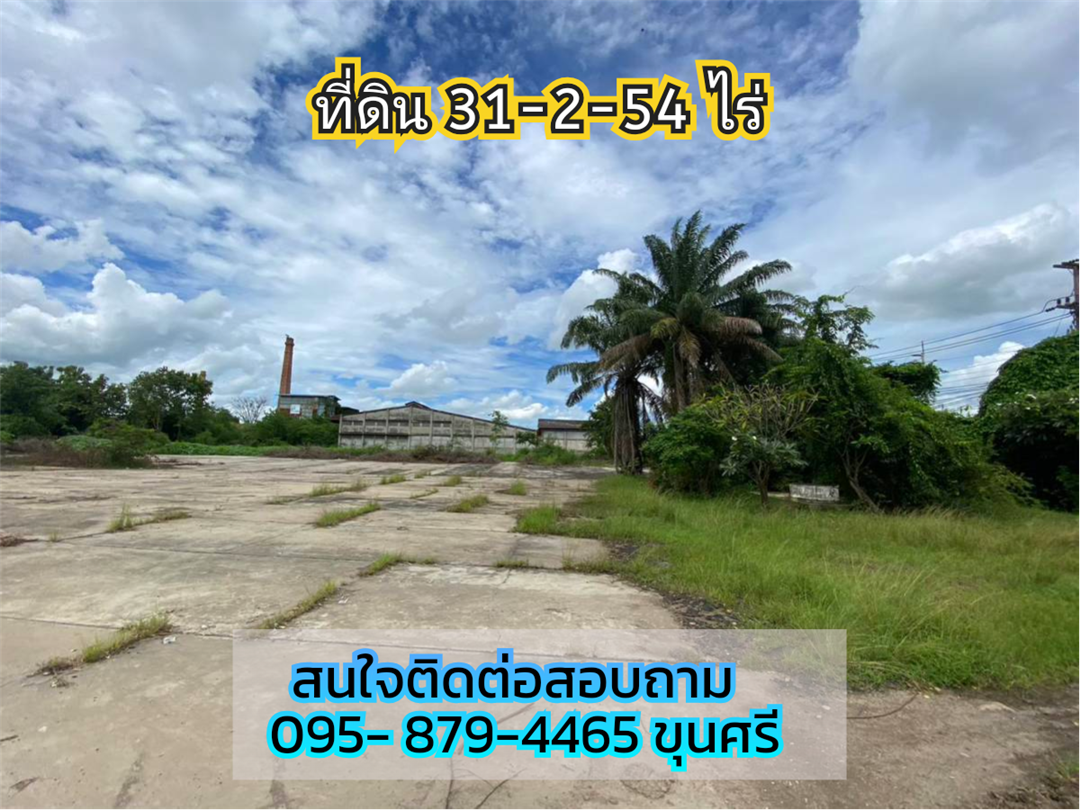 SaleLand Land for sale in Surin city, 31-2-54 rai, prime location for business, next to 4 lane road, Surin-Ch