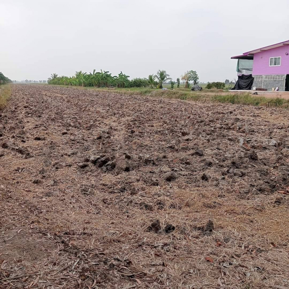 SaleLand Land for sale in Don Ko Ka, 17 rai, Khlong 19, next to paved road, near road 3001 - 3.7 km., Bang Nam Priao District, Chachoengsao Province.