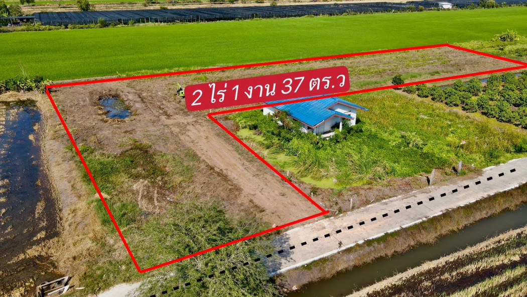 SaleLand Land for sale in Khlong Hok, 2 rai, next to a concrete road.