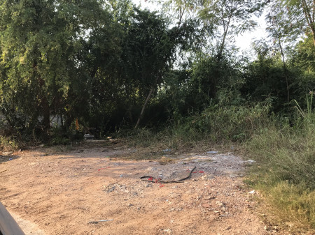 RentLand Land for rent, suitable to build houses, warehouses, Sin Phatthana Thani Village, 3 jobs behind Sanam Luang 2 market
