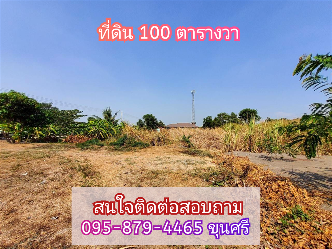 SaleLand Selling cheap!!! Land near Dhammakaya Temple, 100 square wah, filled in, next to a concrete road, So