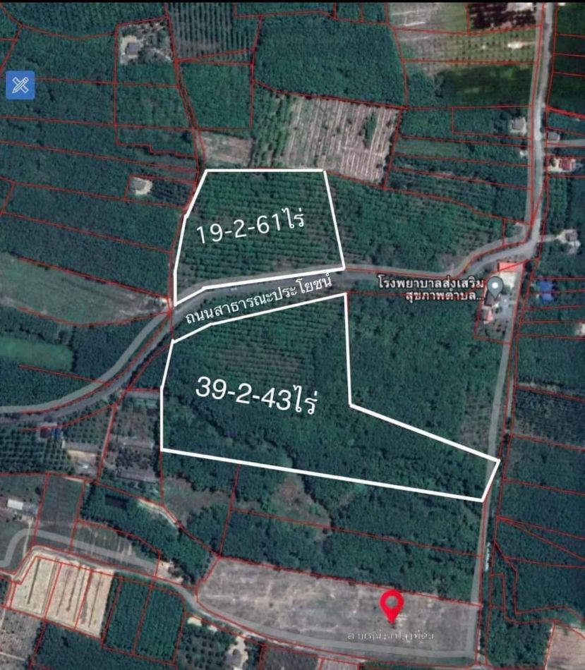 SaleLand Land for sale, Red Garuda title deed, rubber plantation, 19 rai and 39 rai. If you are interested in any plot, choose 19 rai.