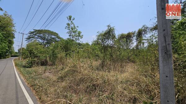 SaleLand ขายที่ดิน 2 ไร่ 47 ตารางวา ตำบล หนองบัว อำเภอเมือง กาญจนบุรี 