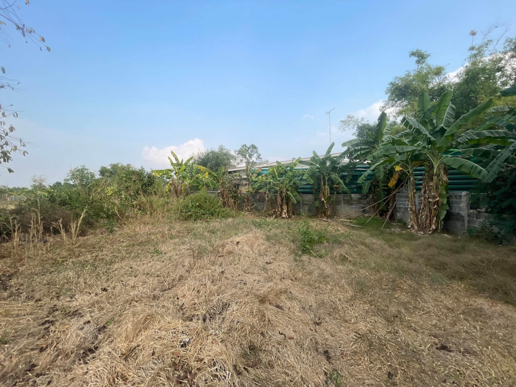 SaleLand Land for sale in Nong Yao, 122 sq m., already filled, near Road 3002 and Seven Nong Yao - 600 meters,