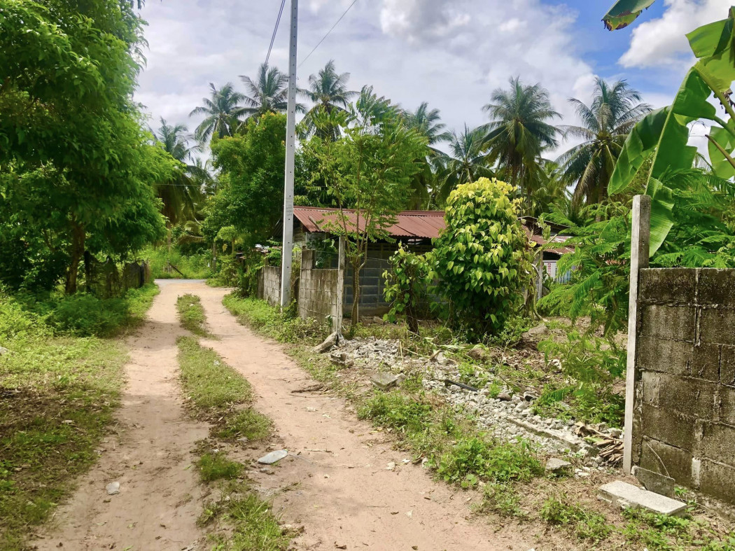 SaleLand Land for sale on the edge of Bang Phra Reservoir, 100 sq m., house on Soi 5,