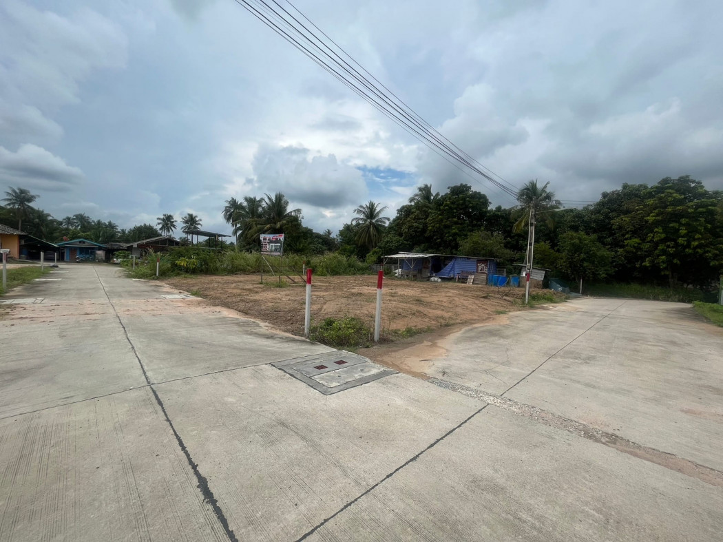 SaleLand Takhian Tia land for sale, 60 sq m, filled in, next to a concrete road on 2 sides.