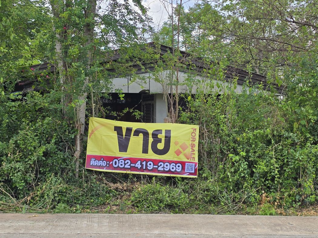 SaleLand Land for sale, house with land for sale Next to concrete road In Non Bai Bua Village for sale 1 rai 2 ngan 72 sq m.