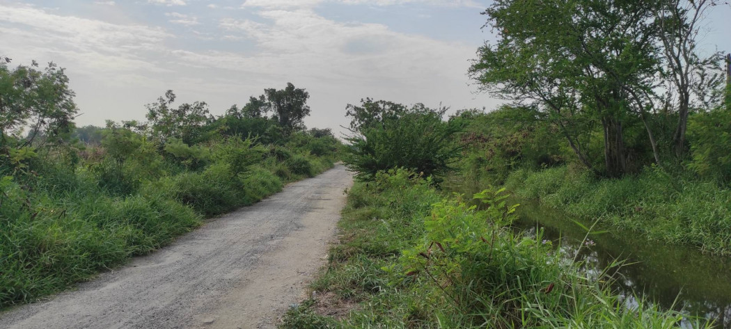 SaleLand Land for sale (106-2-77) Rai Located at the industrial and residential area, Bang Pakong District, Chachoengsao