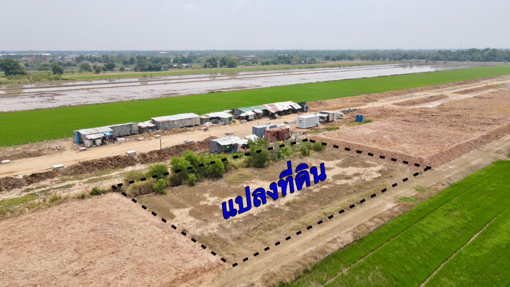 SaleLand Land for sale in Khlong Luang, 375 sq m., Khlong 5, Soi Sumsayan 39. Near road 1043-7 km. Pathum Thani Province