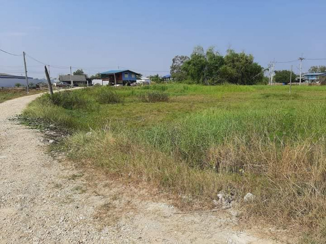 SaleLand Kut Ngong land for sale next to concrete road, area 1 rai, Phanat Nikhom city center.