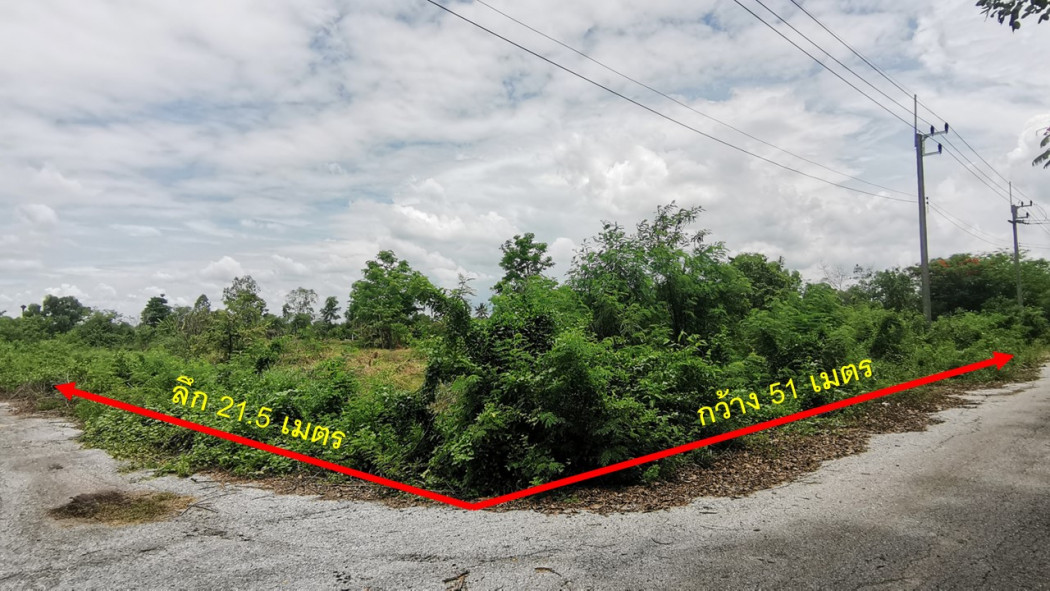 SaleLand Empty land for sale, Khlong 12, Nong Suea District, Pathum Thani Province, good weather, shady atmosphere, next to the road on 3 sides.