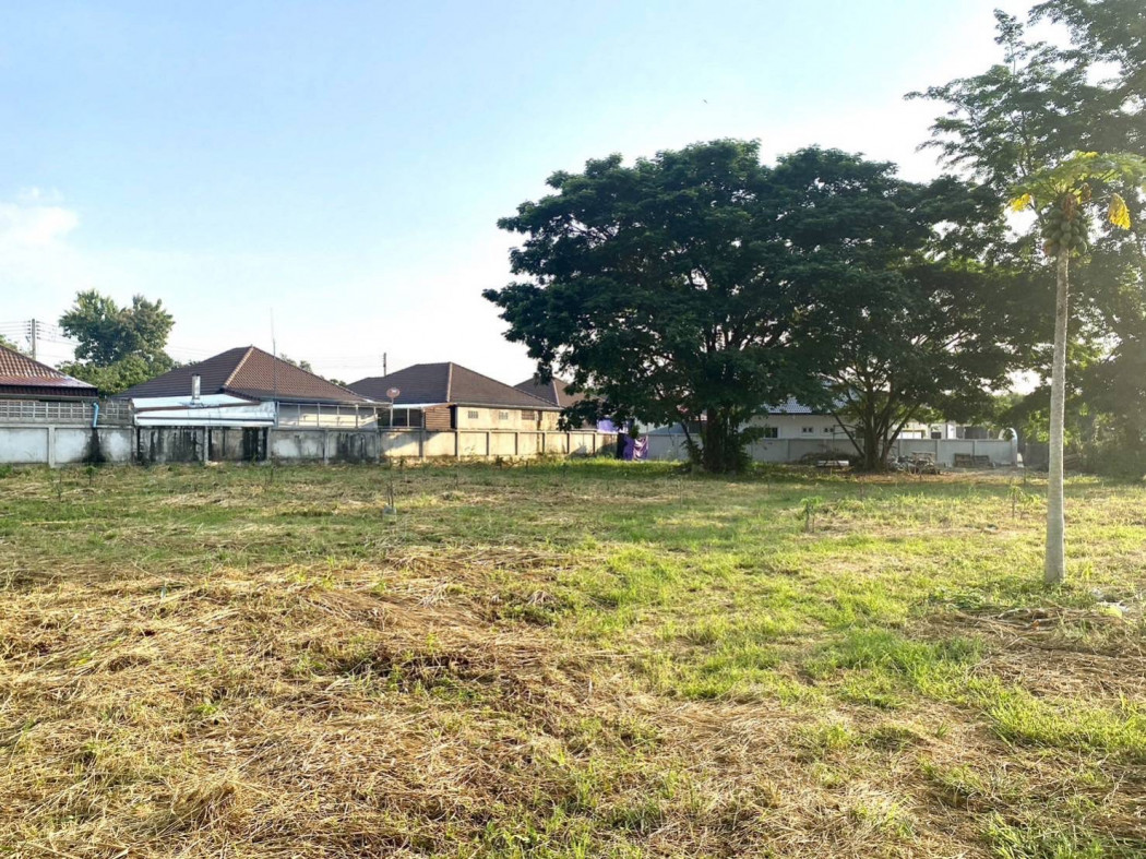 SaleLand Land for sale, already filled, total area 537 sq wa, Nong Phueng, Saraphi.