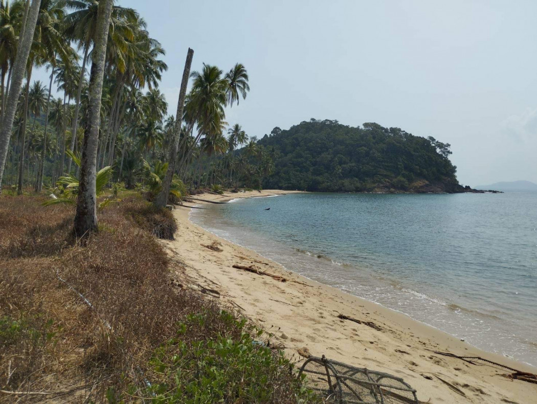 SaleLand Land for sale very close to the beach on Koh Chang, 24 rai 2 ngan, beautiful at a cheap price of 100 million.