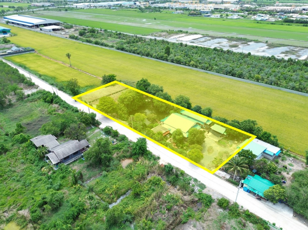 SaleLand Land for sale with house rental business Soi Nonthaburi Provincial Administrative Organization, Khlong Khun Si, 2 rai 85 sq m, near the main road Bang Bua Thong, Suphanburi.