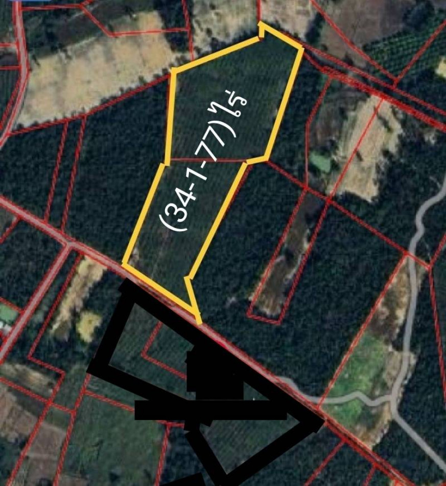 SaleLand Land for sale, rubber plantation, title deed (34-1-77) rai, Pakho Subdistrict, Kut Chap District, Udon Thani, 34 rai, 1 ngan, 77 sq m, very cheap price.
