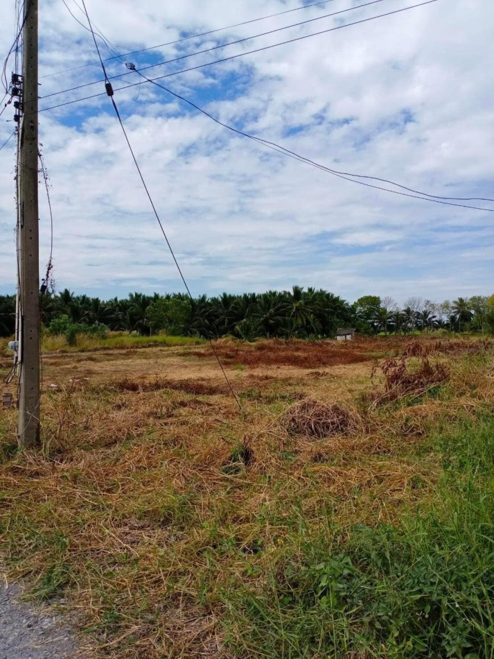 SaleLand Land for sale in Khlong Khuean, 1 rai, next to the road along the irrigation canal. Near Khlong Khuean Hospital,