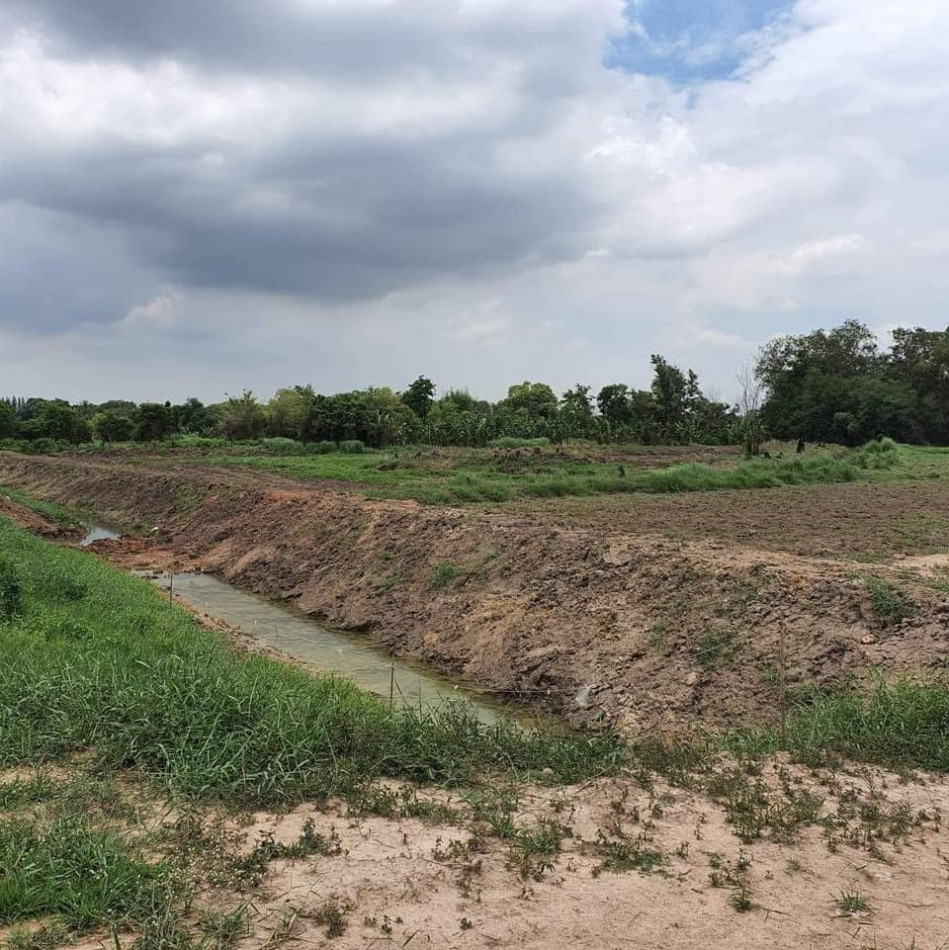 SaleLand Land for sale in Nong Hiang, 2 rai, next to the road along the irrigation canal.