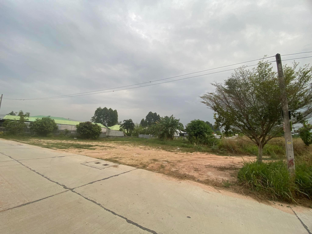 SaleLand Land for sale in Bueng Nong Khawa, area 160 sq m, already filled, next to a concrete road.