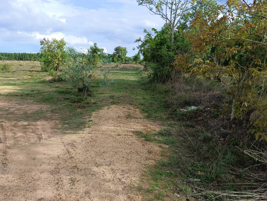 SaleLand Land for sale in Na Khaem, 5 rai, near road 2041 - 1 km., near Sahapat Group - 6.2 km. Kabinburi District, Prachinburi