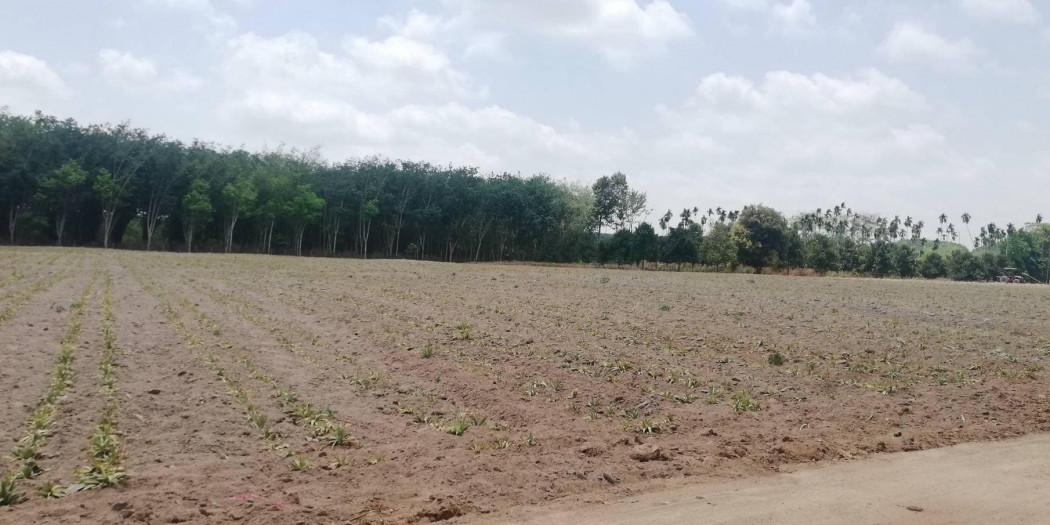 SaleLand Land for sale on the Khu River, area 10 rai, next to WHA4 Industrial Estate (WHA4),