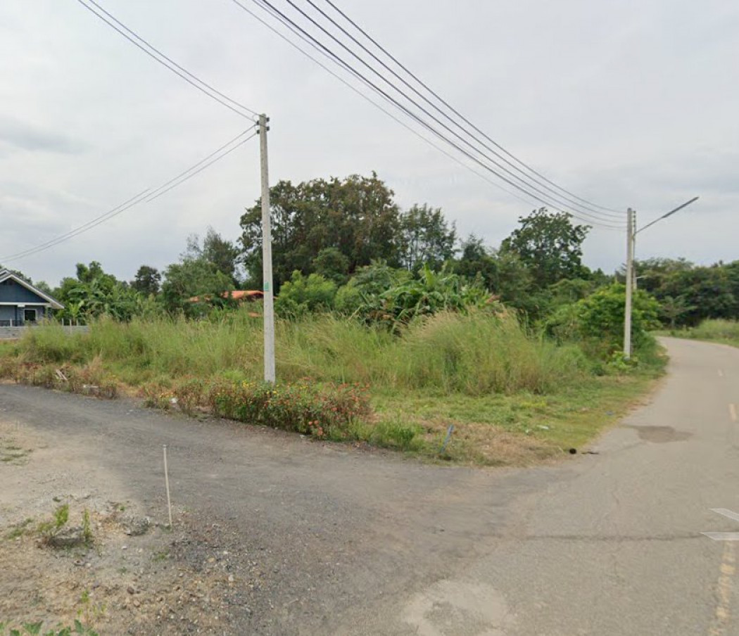 SaleLand Land for sale on Jackfruit Island, 120 sq m., suitable for building a house.