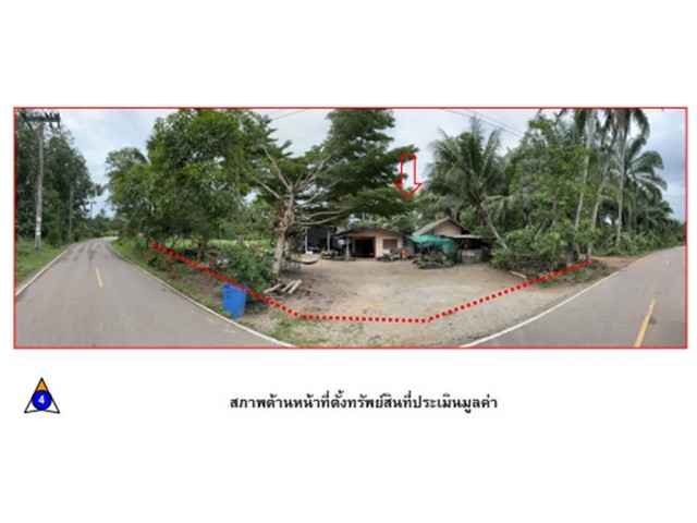 SaleHouse ขายที่ดินพร้อมสิ่งปลูกสร้างจังหวัดชุมพร