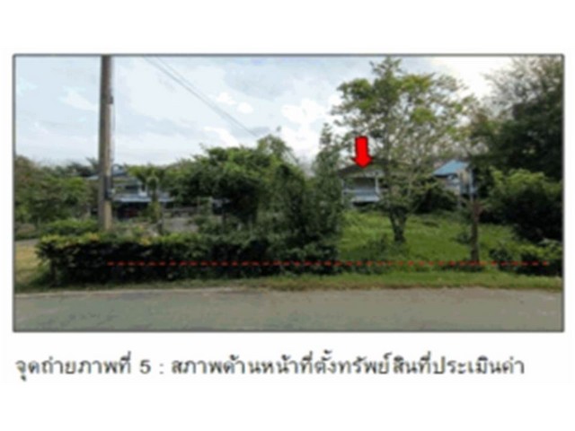 ขายบ้านเดี่ยวมือสองเมืองตรัง  ถนนบ้านหนองปาบ