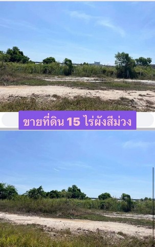 ขายที่ดินหน้านิคมอมตะ ชลบุรี