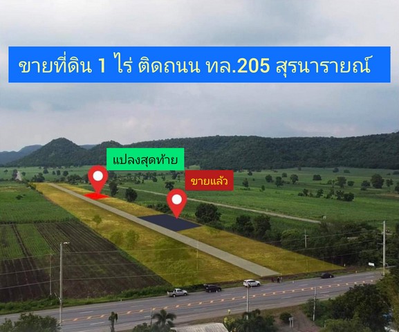 SaleLand ขายที่ดินแบ่งขายติดถนนหลวง สุรนารายณ์ 205 อ.โคกสำโรง จ.ลพบุรี