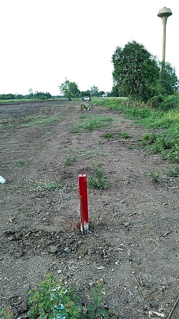 ที่ดิน ตำบล บึงกาสาม อำเภอ หนองเสือ จังหวัด ปทุมธานี 