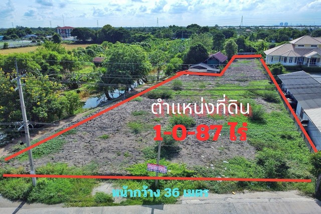 RentLand ให้เข่าที่ดิน ที่ดิน บางใหญ่