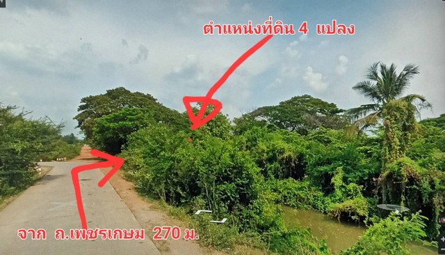 SaleLand ขายที่ดินแปลงใหญ่ 30-1-20 ไร่ หน้ากว้าง 270 เมตร ต.อ่างทอง ราชบุร