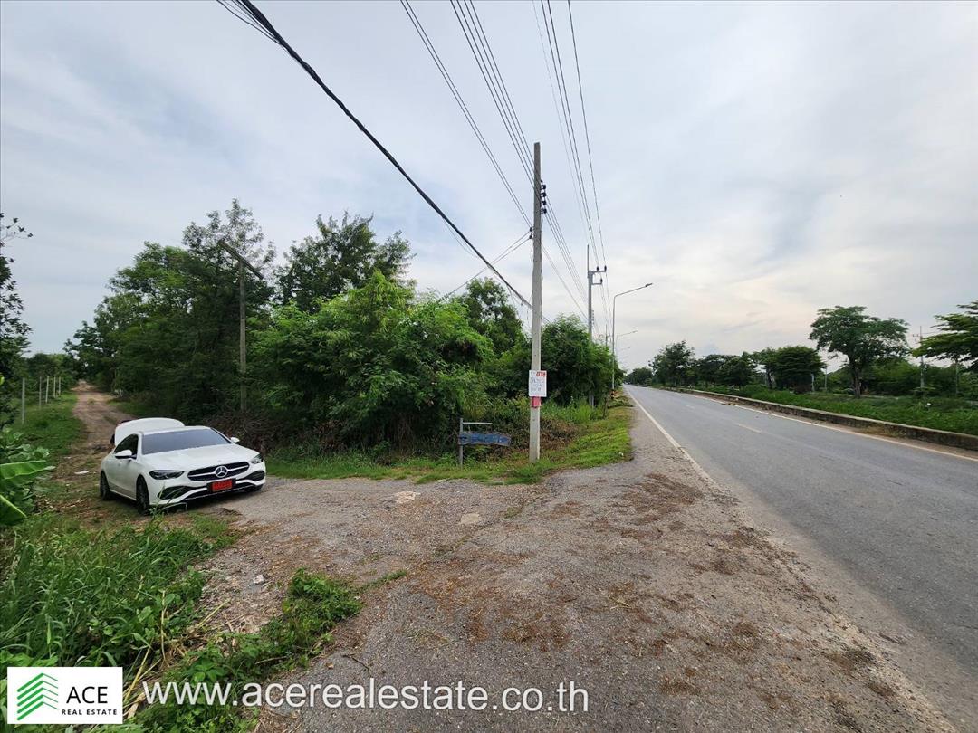 SaleLand Cheap land for sale, Pathum Thani 200 sq m