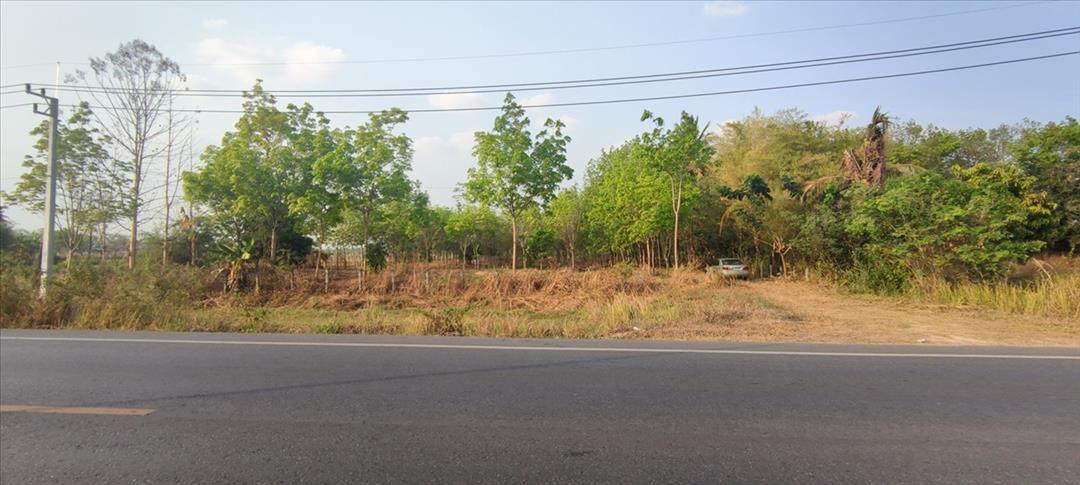 SaleLand Land for Sale 7 Rai, next to the road, with rubber plantation